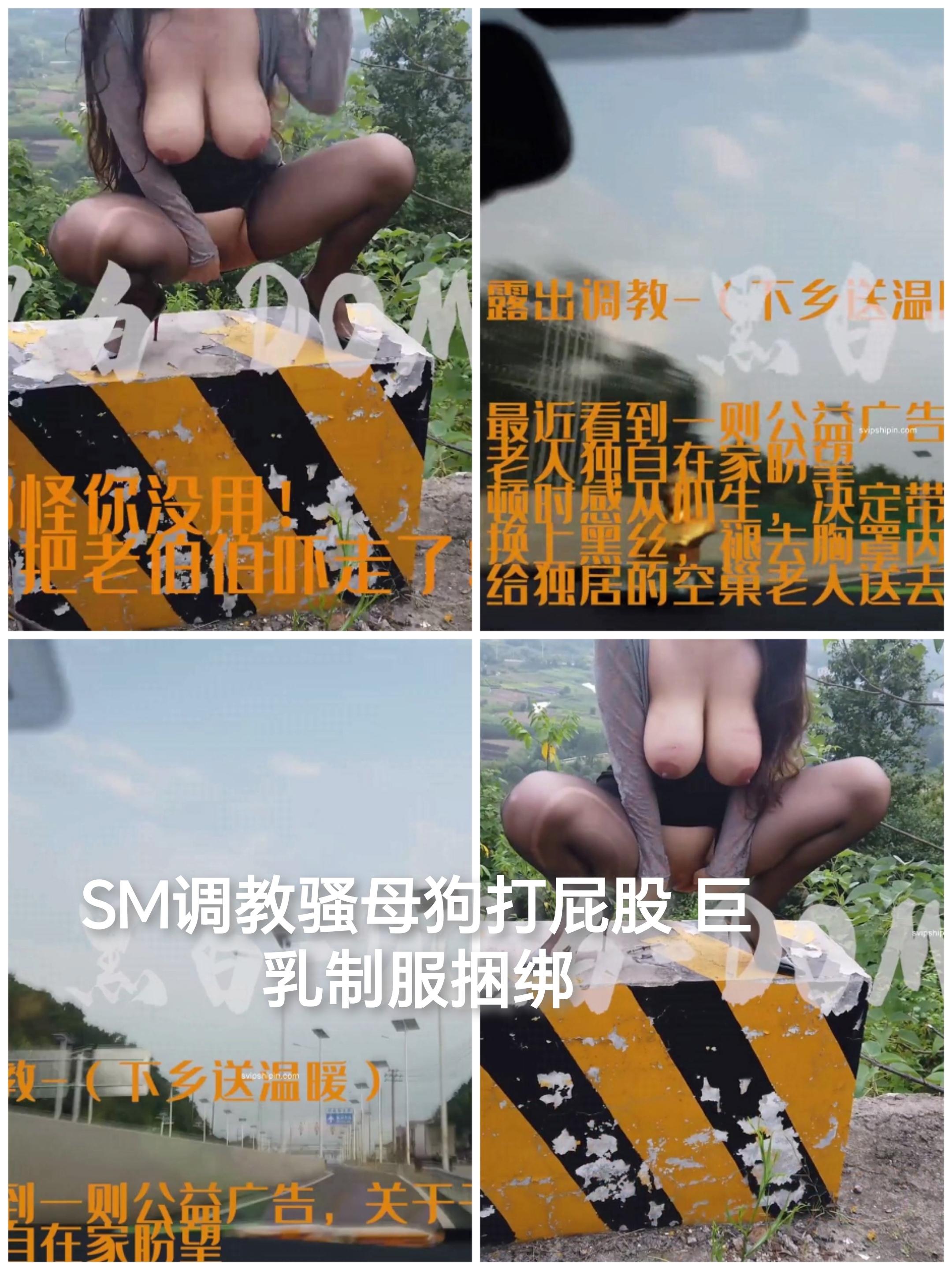 [SM调教]户外sm调教骚母狗巨乳制服捆绑