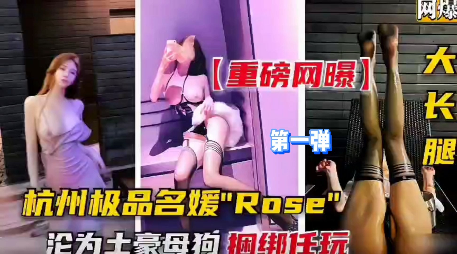 杭州极品名媛-沦落成土豪的母狗