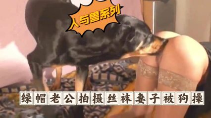 绿帽老公拍摄丝袜妻子被狗猛操-变态