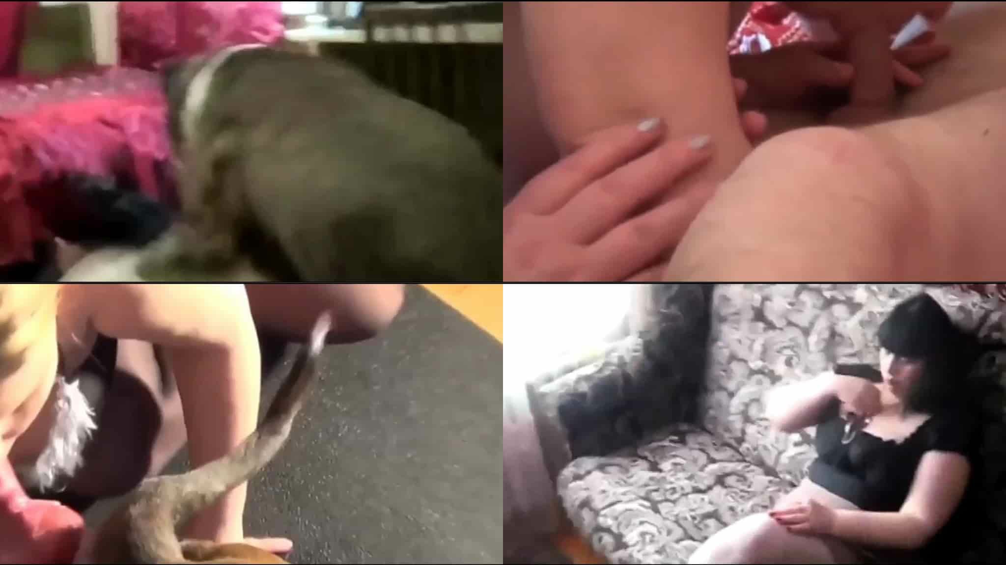 坦克熟女和狗狗做爱-变态