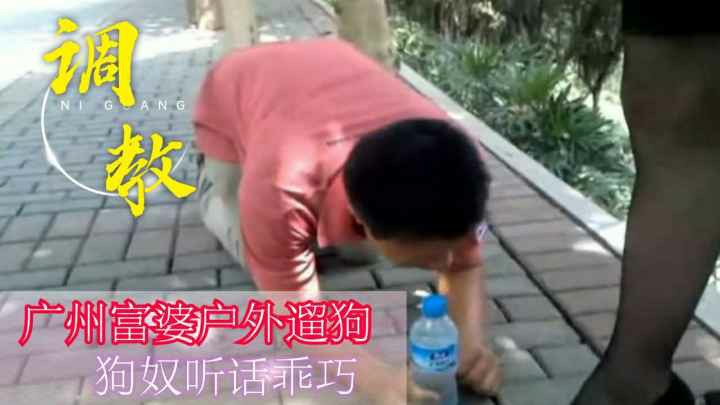 国产重口~广州富婆户外遛狗-变态