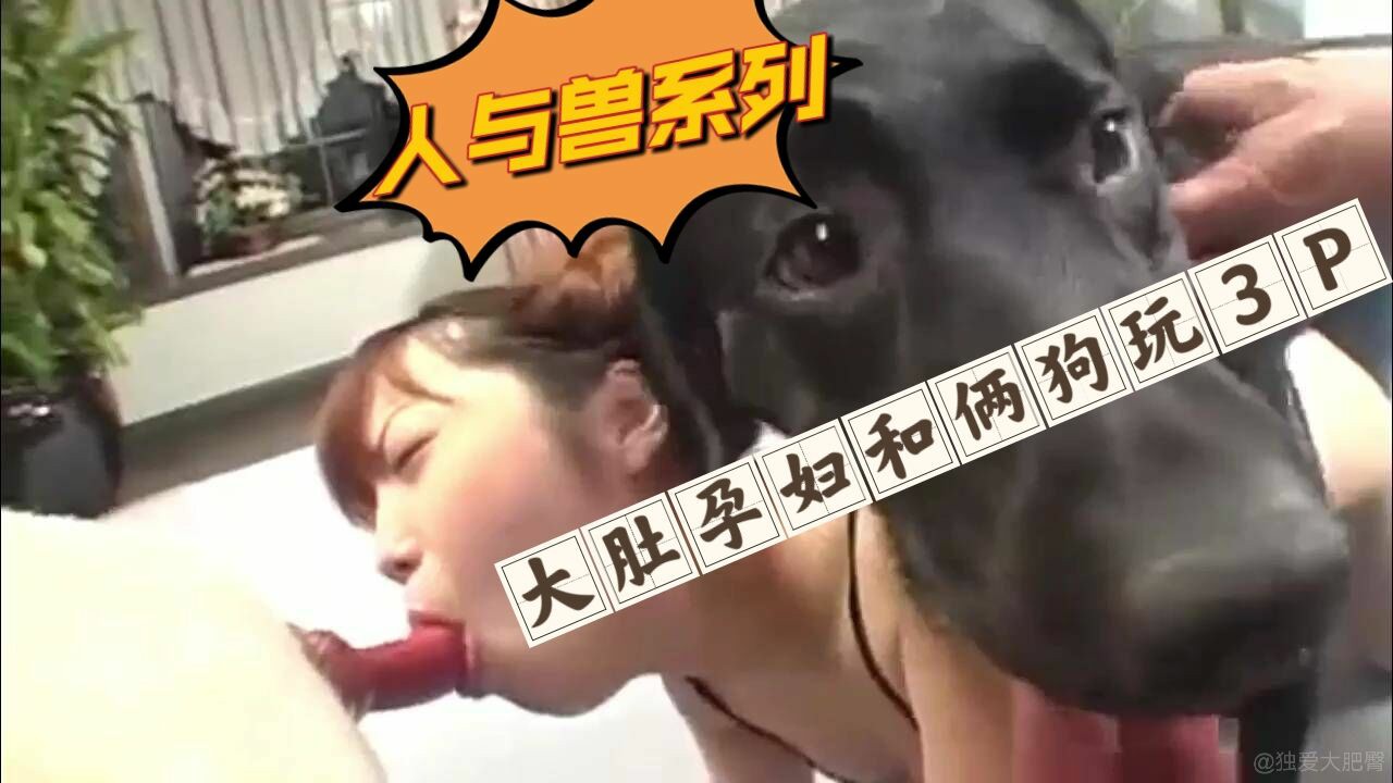 大肚孕妇和俩公狗3P-变态