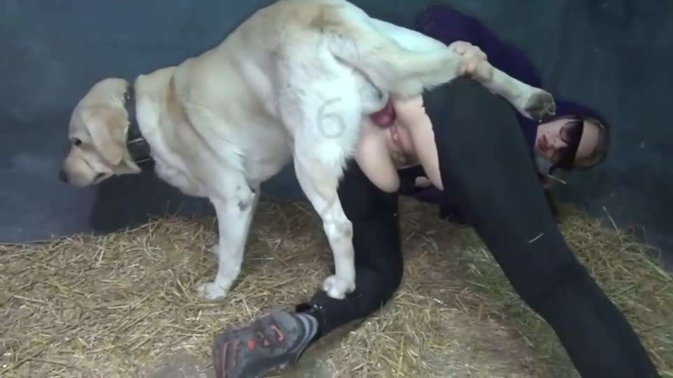 女人和猪_pig_狗_dog-变态