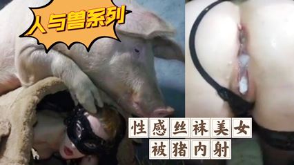 性感丝袜美女被猪内射-变态