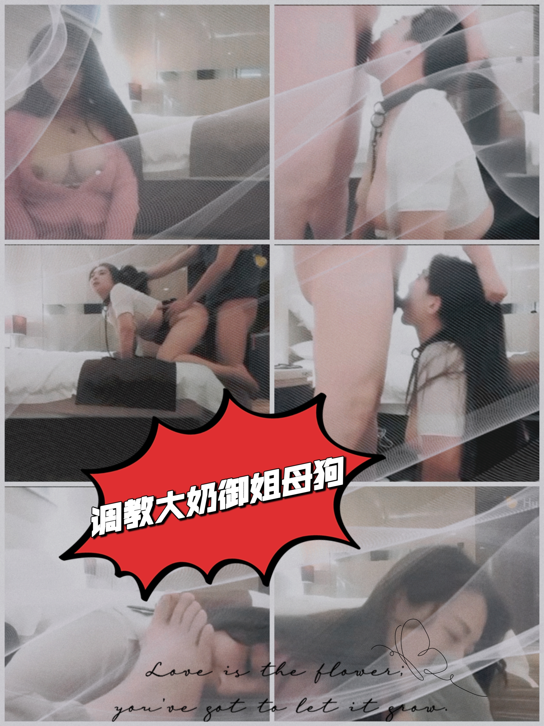 大奶御姐母狗-变态