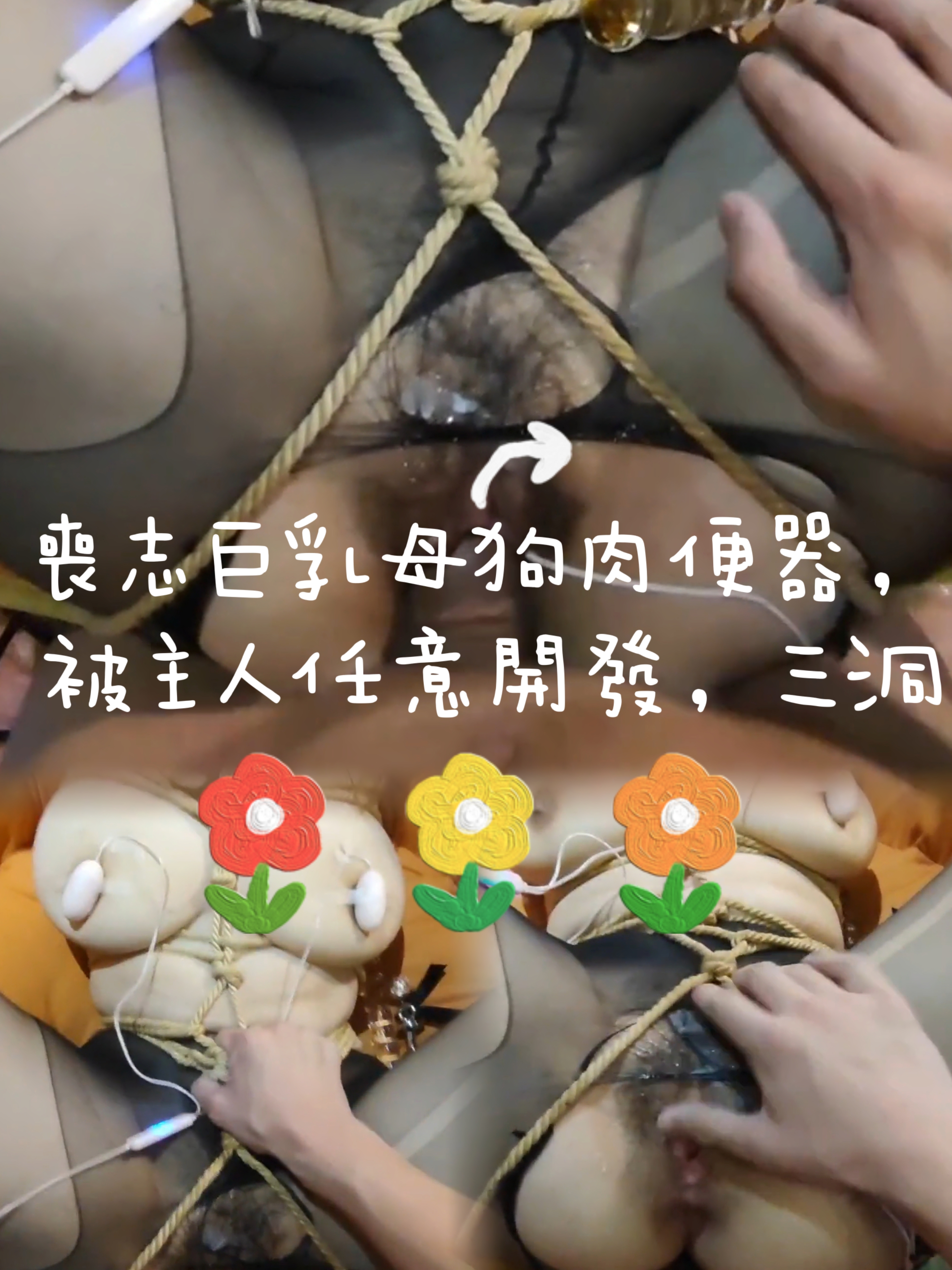 丧志巨乳母狗肉便器 被主人任意开发调教-变态