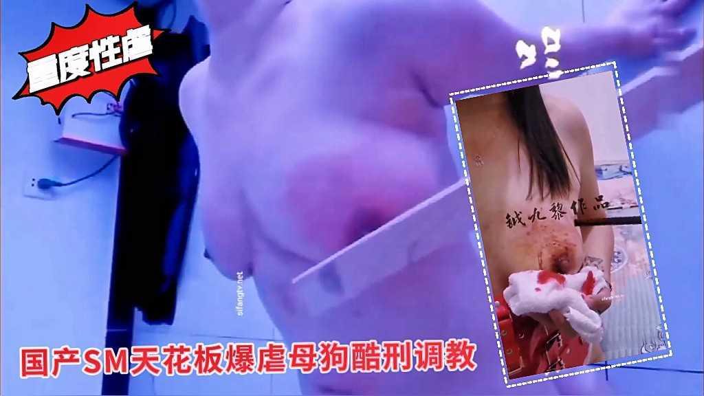 《稀缺极品 震撼狠货》SM界天花板王者级玩家重度性虐大神【钺九黎】暴虐母狗女奴各种酷刑牛逼到在宫颈上打环！22