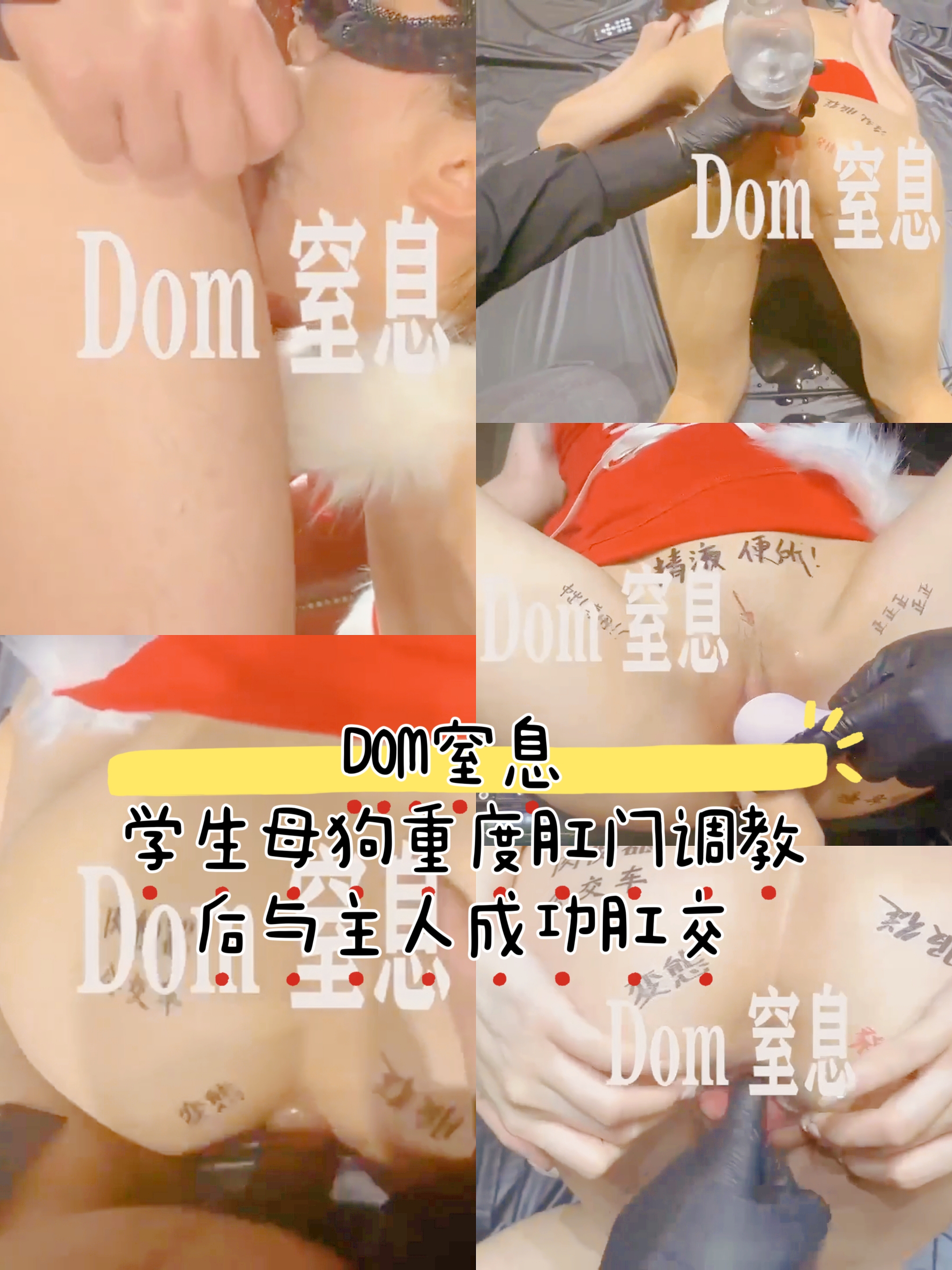 dom学生母狗重度肛门调教 成功与主人肛交-变态