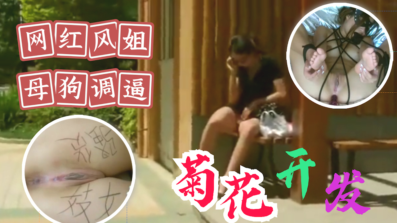 【母狗调教 网红凤姐】菊花开发?