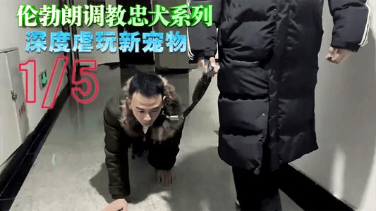[免费15]伦勃朗调教忠犬系列，深度虐玩新宠物
