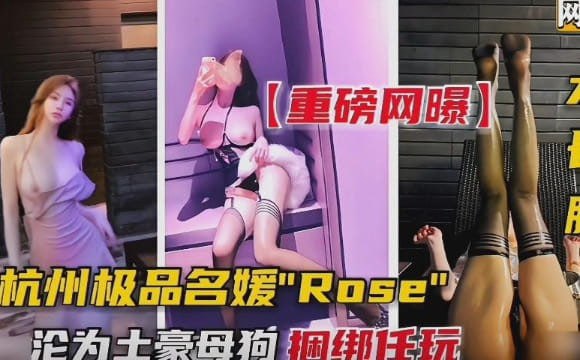 推荐沦落成土豪的母狗，捆绑任玩