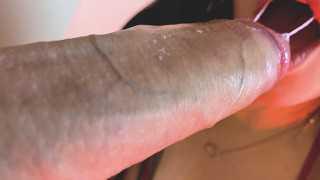 ASMR 你见过的你一生中最好的口交，精液从他的鸡巴中流出