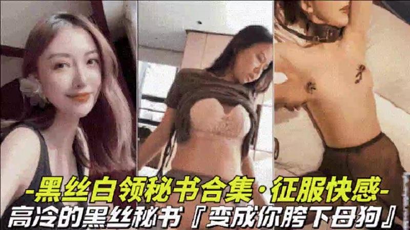 白领秘书大合集！高冷黑丝秘书，变成胯下母狗，视觉上的享受