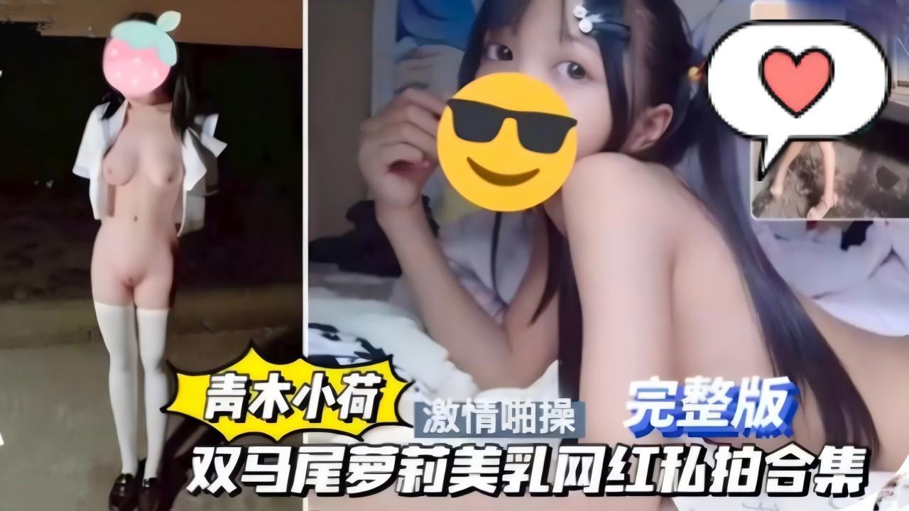 双马尾萝莉美乳网红私拍合集