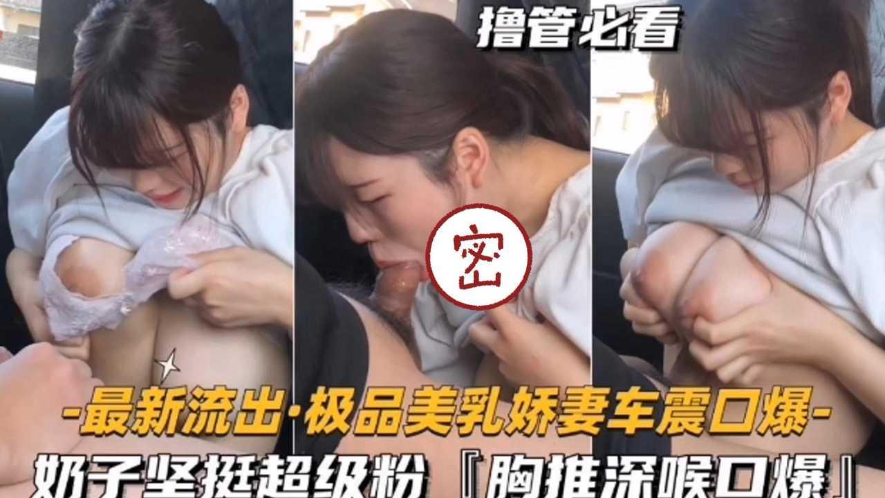 推荐最新流出极品美乳娇妻车震口爆奶子坚挺超级粉
