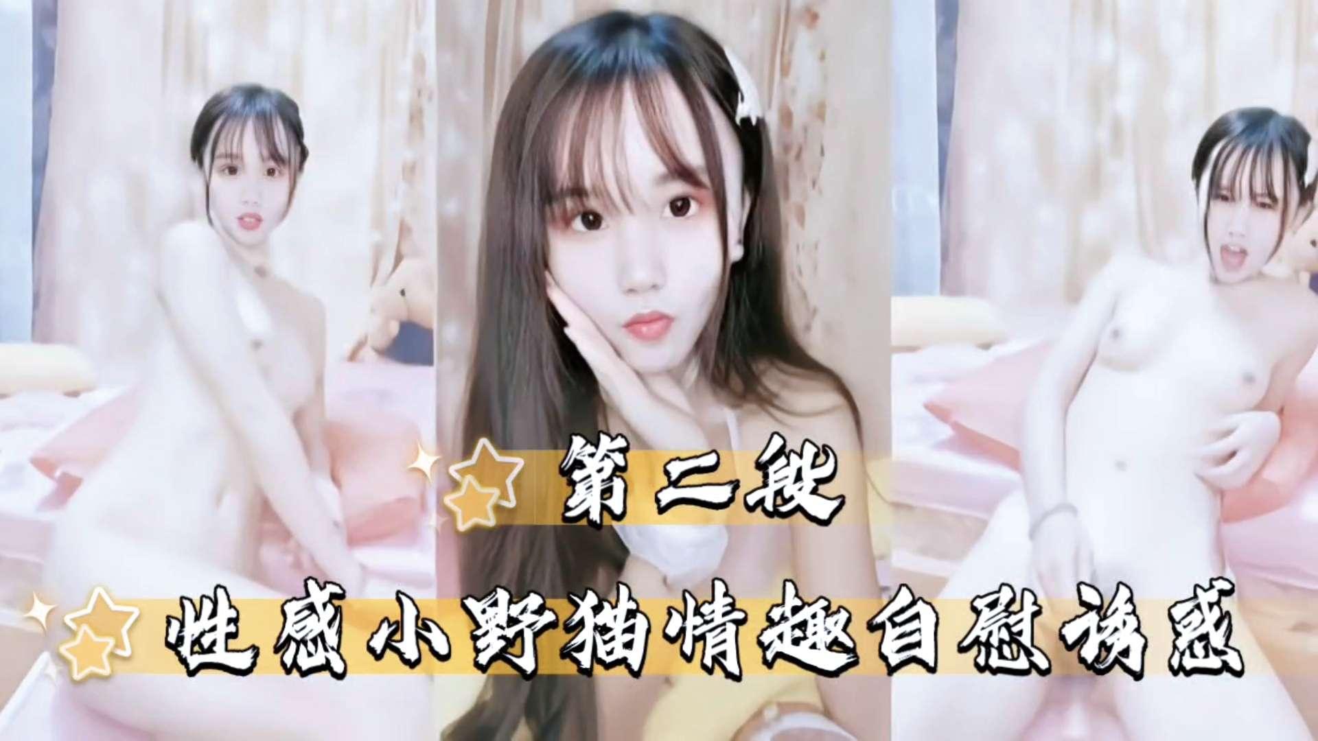 推荐【主播大秀】性感小野猫情趣自慰诱惑~