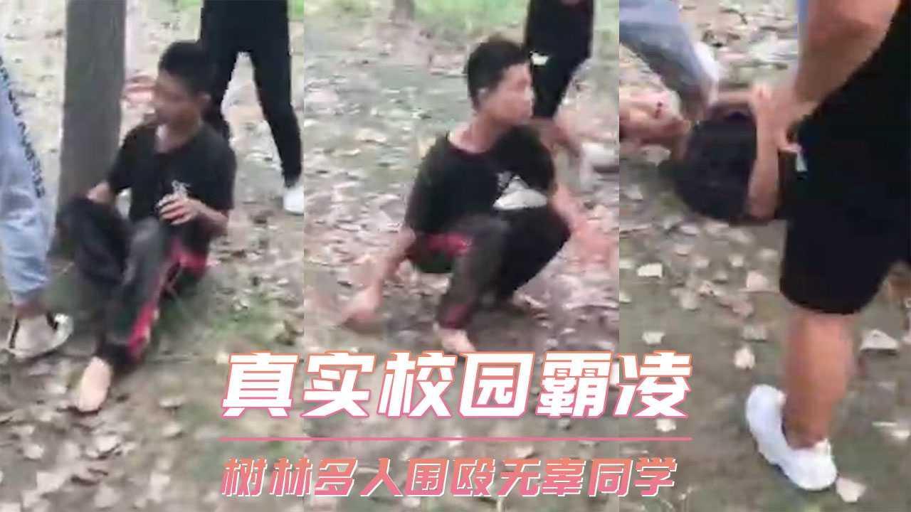 真实校园霸凌 树林多人围殴无辜同学