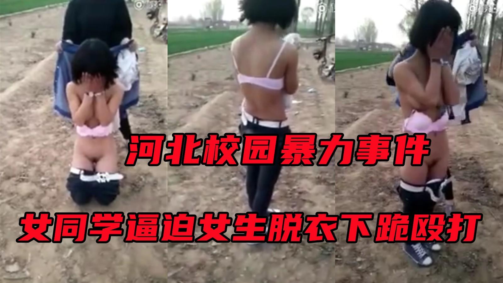 河南校园暴力事件，遭女同学殴打扒衣服下跪道歉