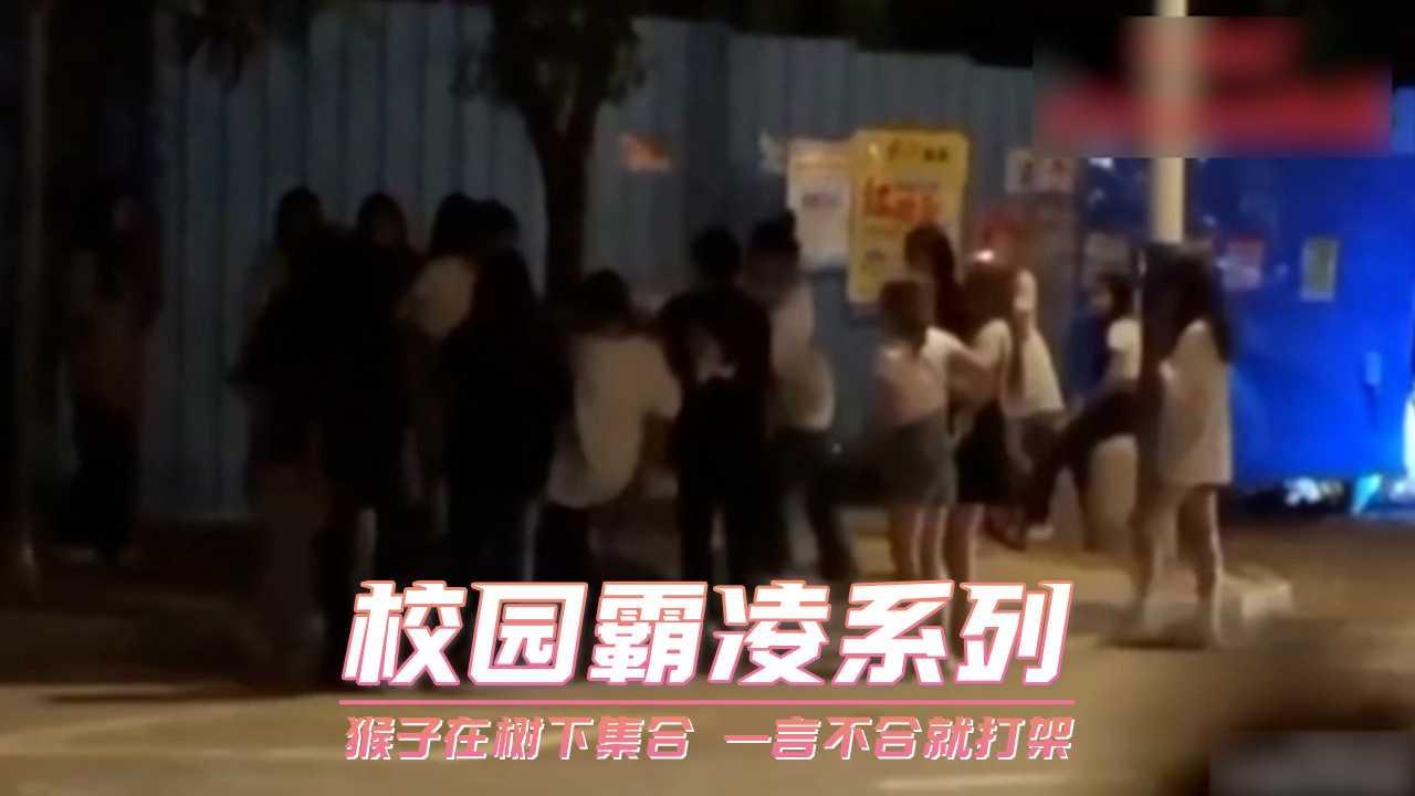 猴子在树下集合 一言不合就打架 校园霸凌系列