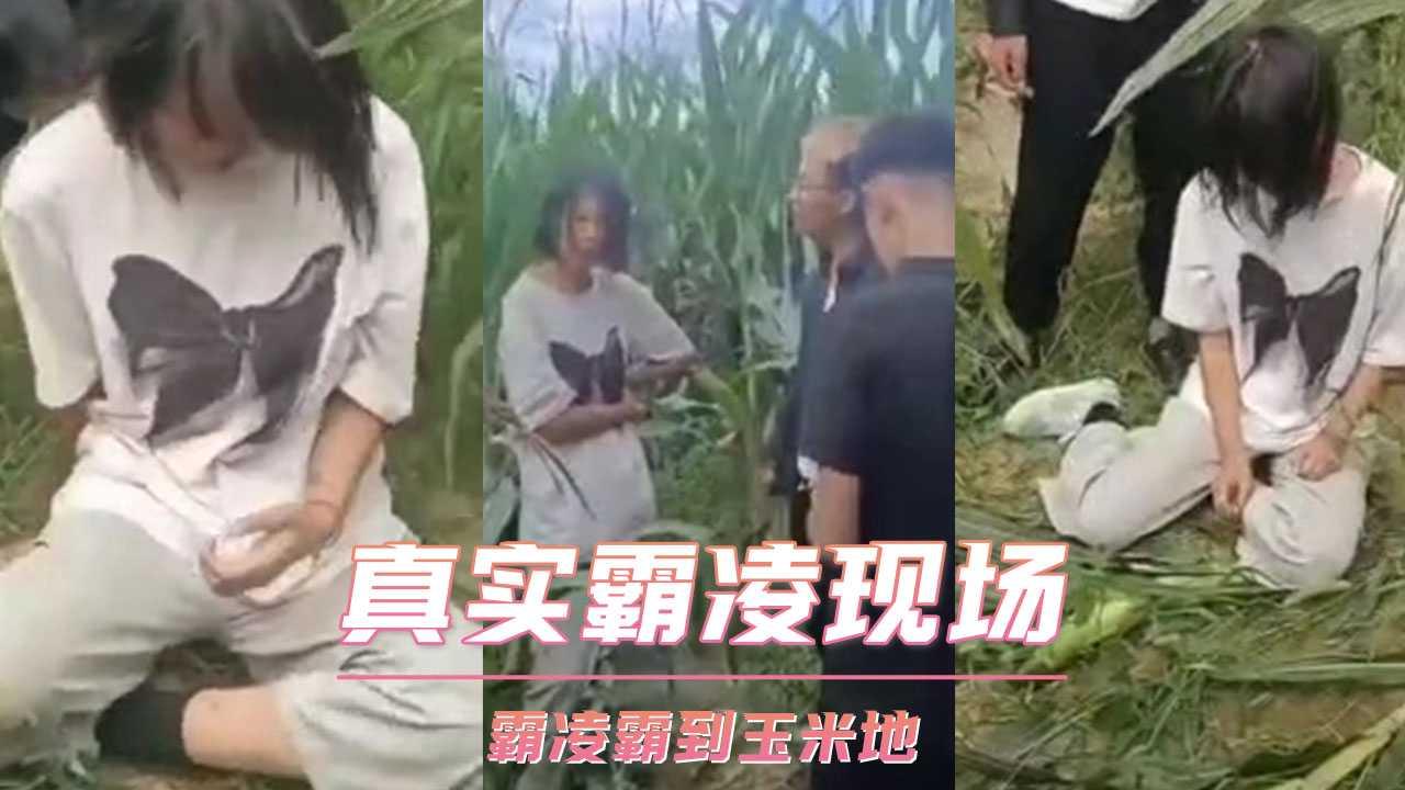 真实霸凌现场 霸凌霸到玉米地