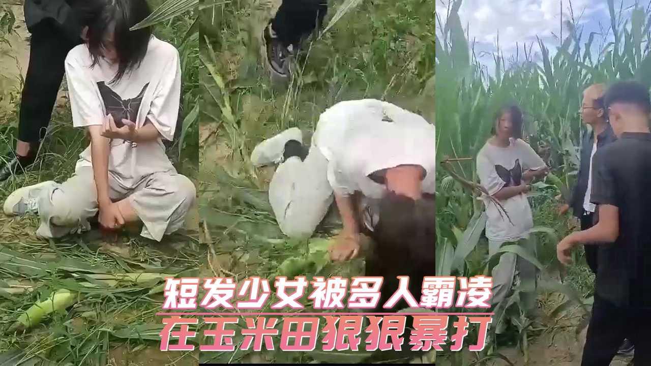 短发少女被多人霸凌 在玉米田狠狠暴打