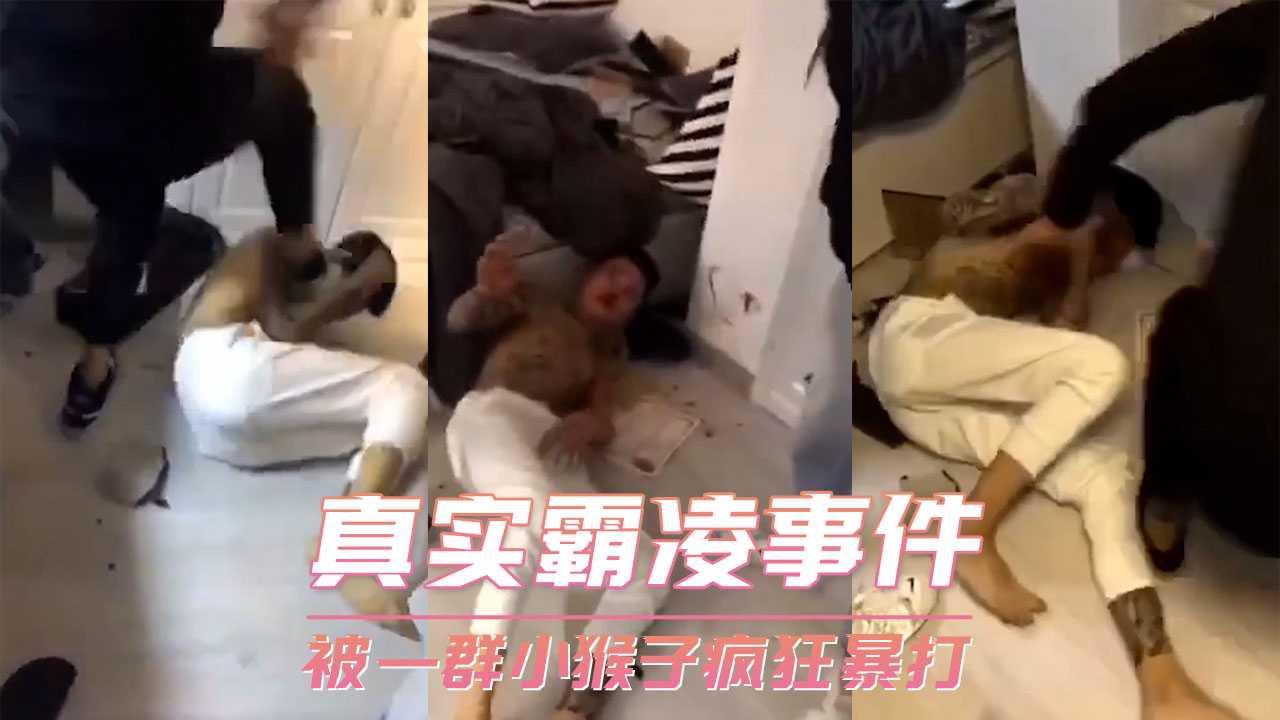 真实霸凌事件-被一群小猴子疯狂暴打