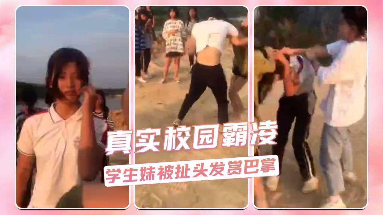 真实校园霸凌  学生妹被扯头发赏巴掌
