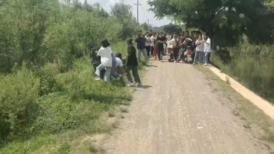 校园暴力，群殴！一群女孩各种揍，不知道谁打谁谁跟谁一伙啊。