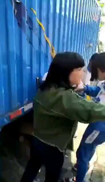 校园暴力    小女生放学后，被一群人围住，侵犯。