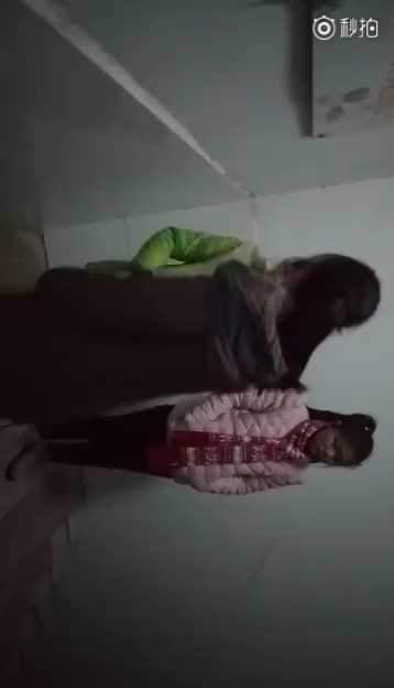 校园暴力，赶紧整改啊！