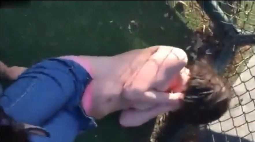 校园暴力粉丝内裤女学生在足球场被同学凌辱