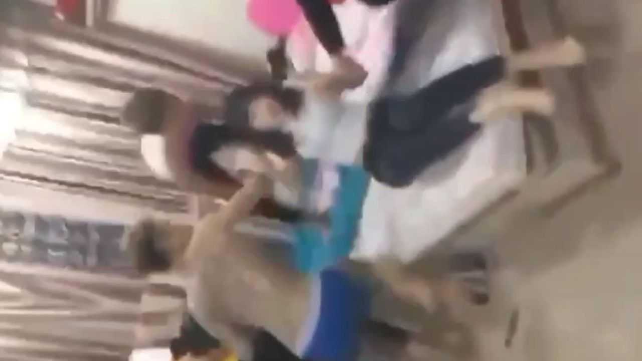 【初中生4P】被捉奸在床，校园暴力一触即发