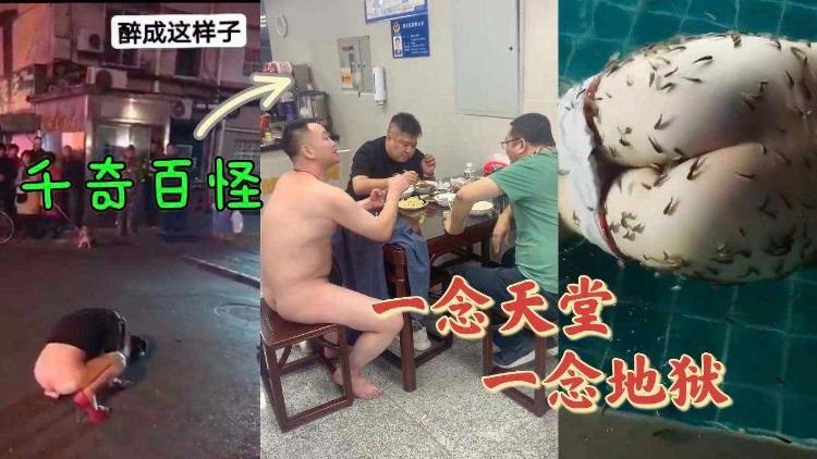 千奇百怪的大人们怎么是这个样子