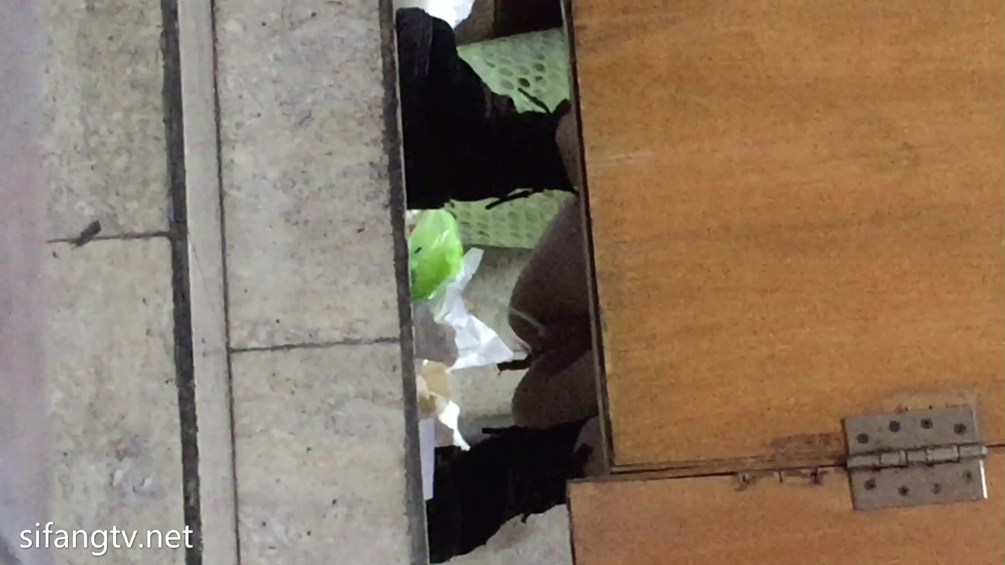 厕拍经典之作，冰尘系列之模特厕拍！ (11)