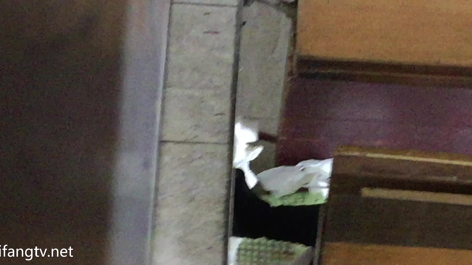 厕拍经典之作，冰尘系列之模特厕拍！ (22)