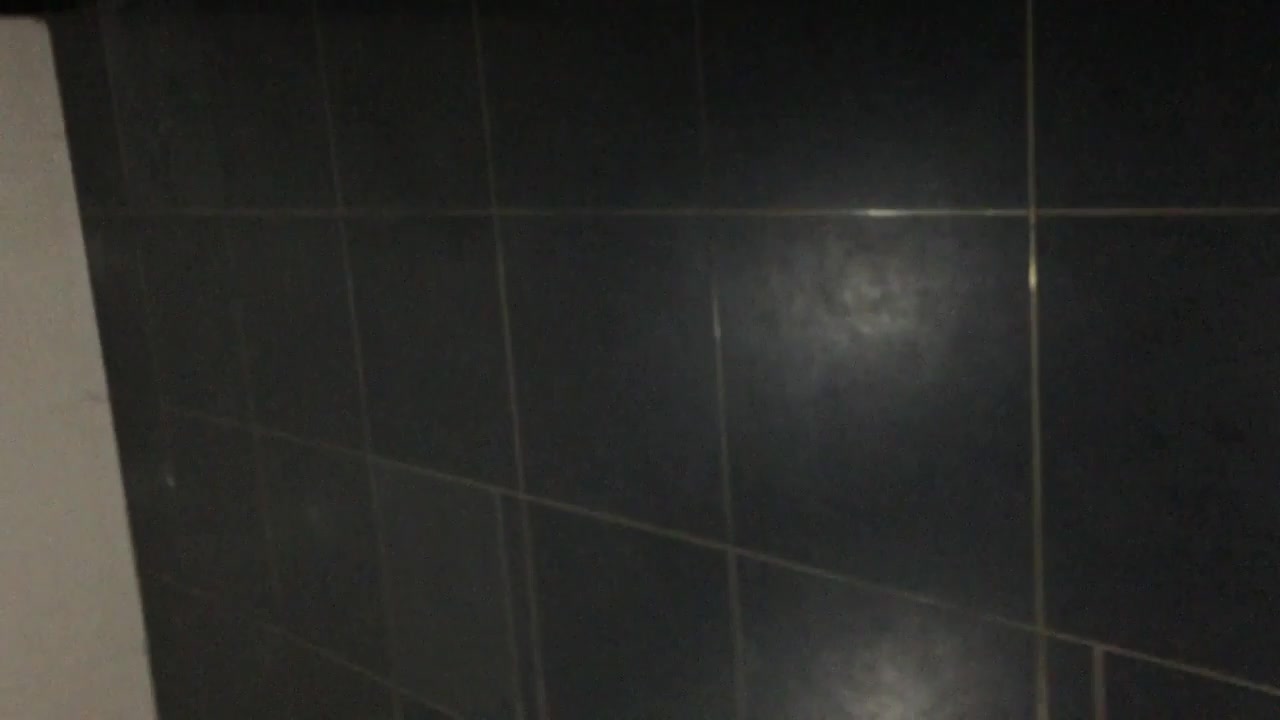 潜入公司内部公厕偷拍两个妹子的鲍鱼