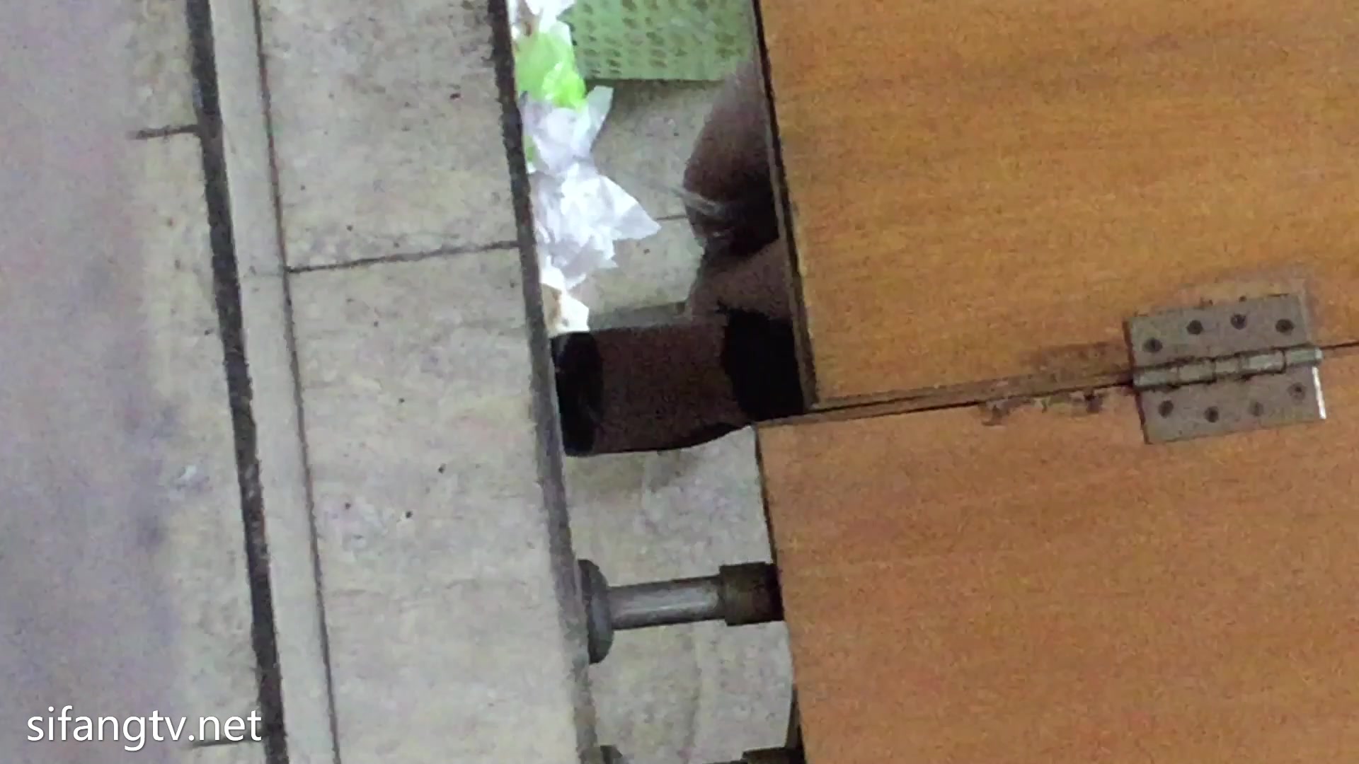 厕拍经典之作，冰尘系列之模特厕拍！ (15)