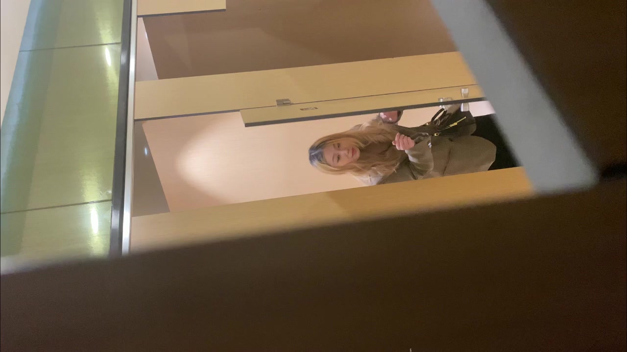 潜入高档餐厅偷拍黄发妹子丰腴的无毛B