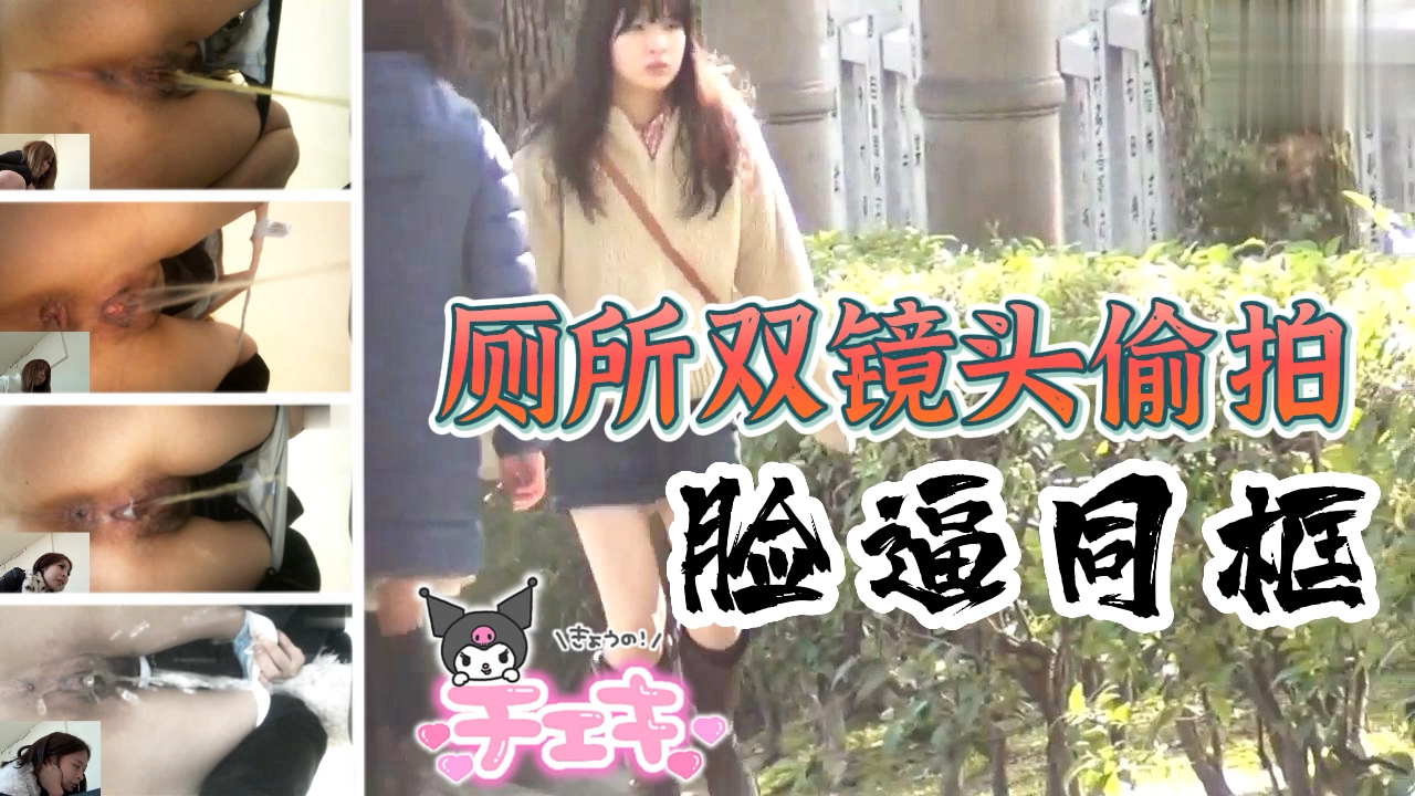 厕所双镜头偷拍脸逼同框