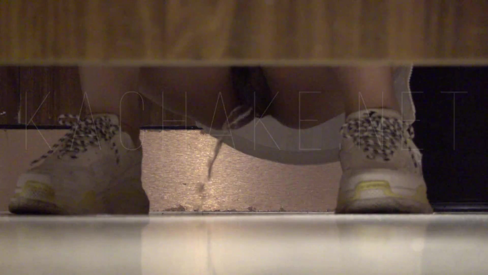 经典流出高级商场厕所TP美女系列