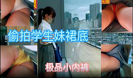 【偷拍】偷拍学生妹裙底 极品气质
