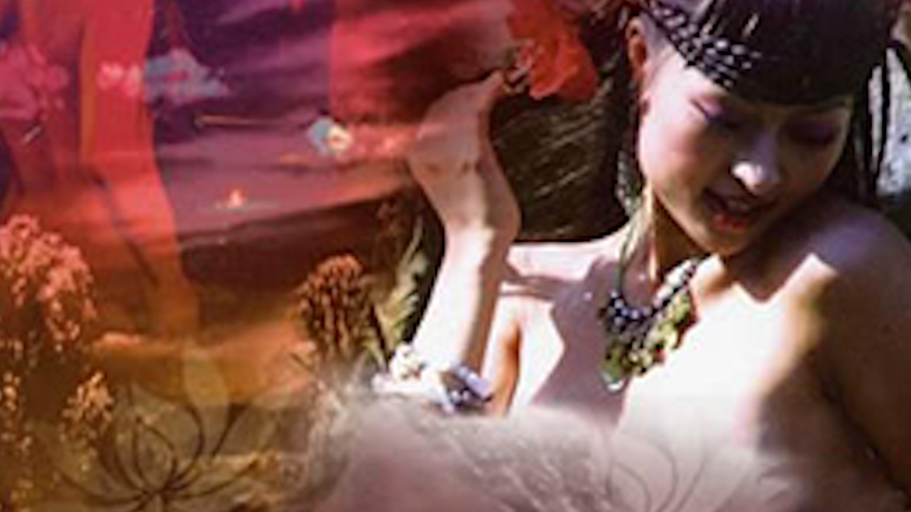 聊斋艳谭-聊斋画皮=国产三级