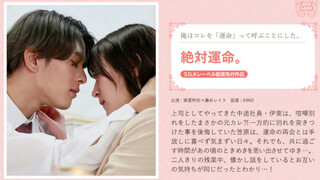 SILKS-117 絶対運命。 藤井蕾娜