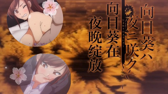 向日葵在夜晚绽放，和丈夫就为的性爱 2D动漫 中文字幕