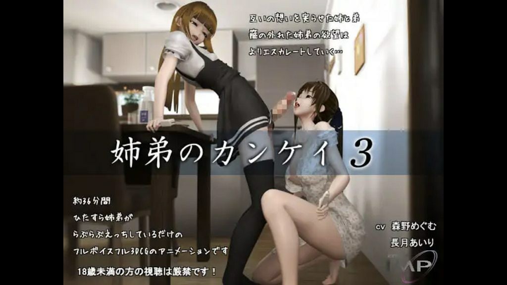 姉弟のカンケイ3 3D动漫 中文字幕