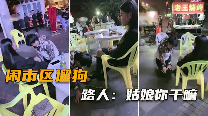 推荐【闹市区遛狗】把路人给看傻了!纷纷表示牛逼（完整版）