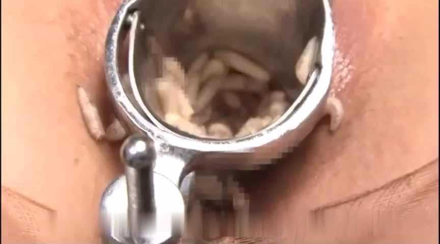 重口味少女与蛆和蚯蚓之间的互动体验（三）-变态