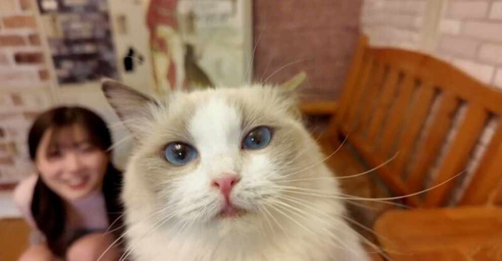 FC2-PPV-4511406-中田ゆめ