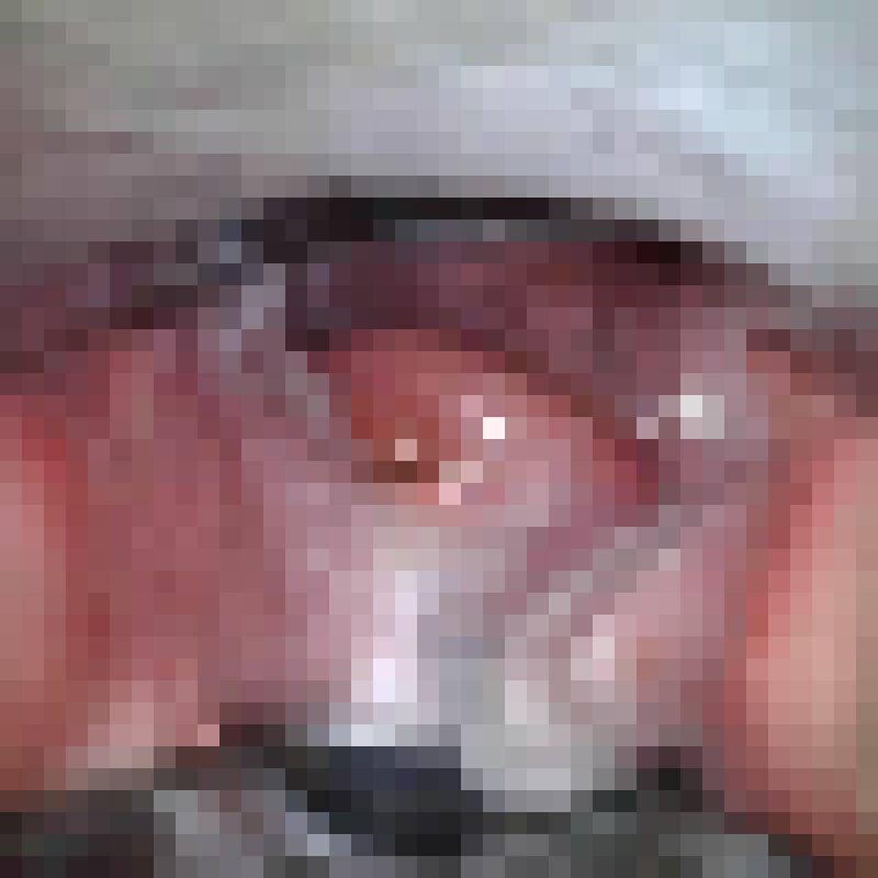 FC2精品无码PPV-2960462 クララちゃん １８歳 処女喪失直後の子宮開発＃１