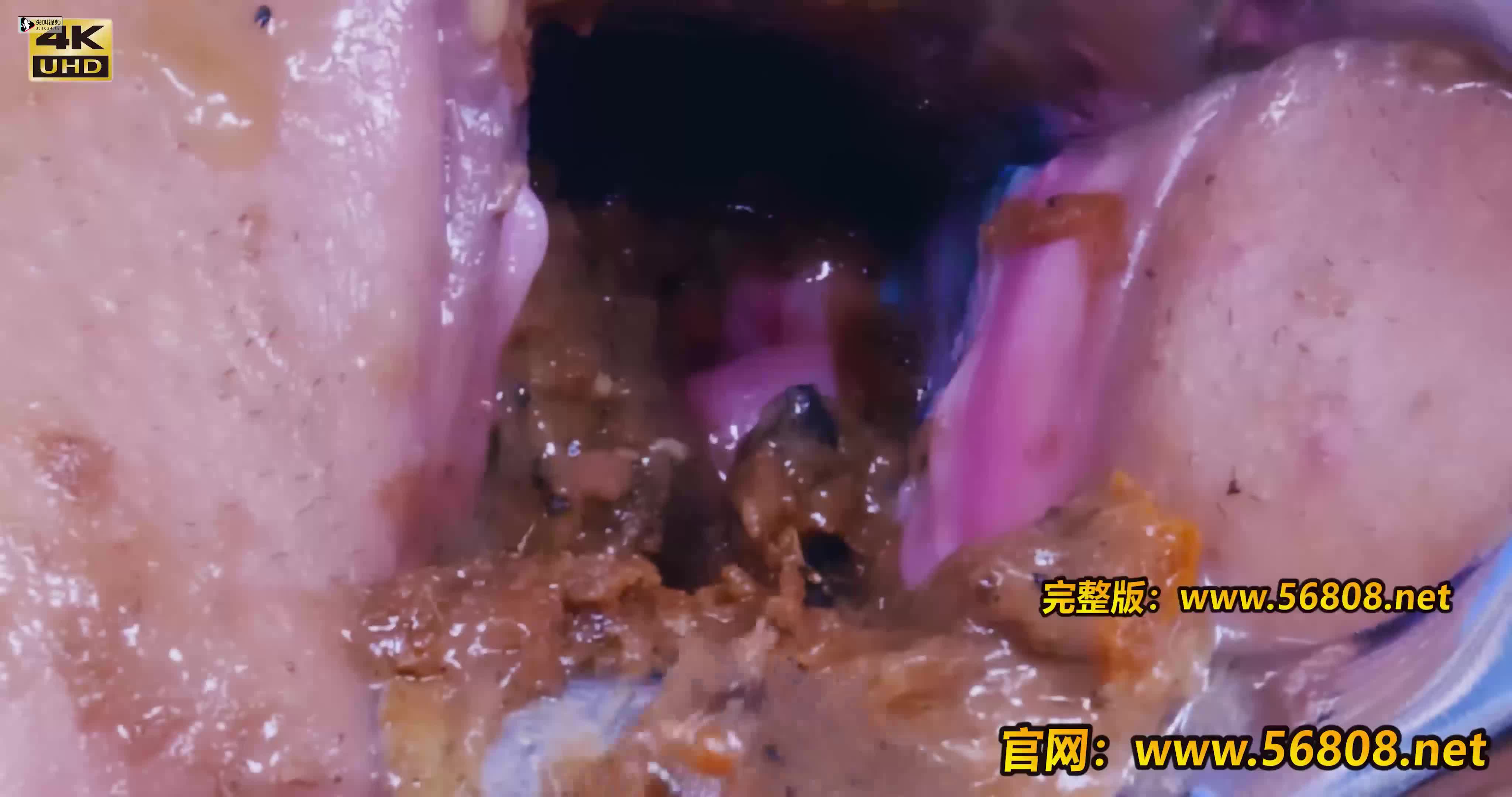 拳交女皇-子宫塞屎-3-精品力荐